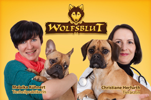 Tierarztsprechstunde bei Wolfsblut und Wildcat Tierarztsprechstunde bei Wolfsblut und Wildcat