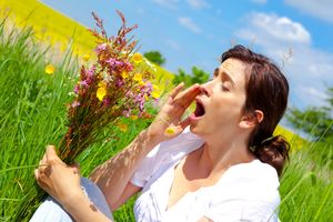Rund 16 Prozent der Bevölkerung leiden bei Kontakt mit Blütenpollen unter allergischen Reaktionen Rund 16 Prozent der Bevölkerung leiden bei Kontakt mit Blütenpollen unter allergischen Reaktionen