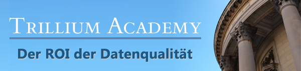 Webinar Der ROI der Datenqualität . Datenqualität zahlt sich aus.