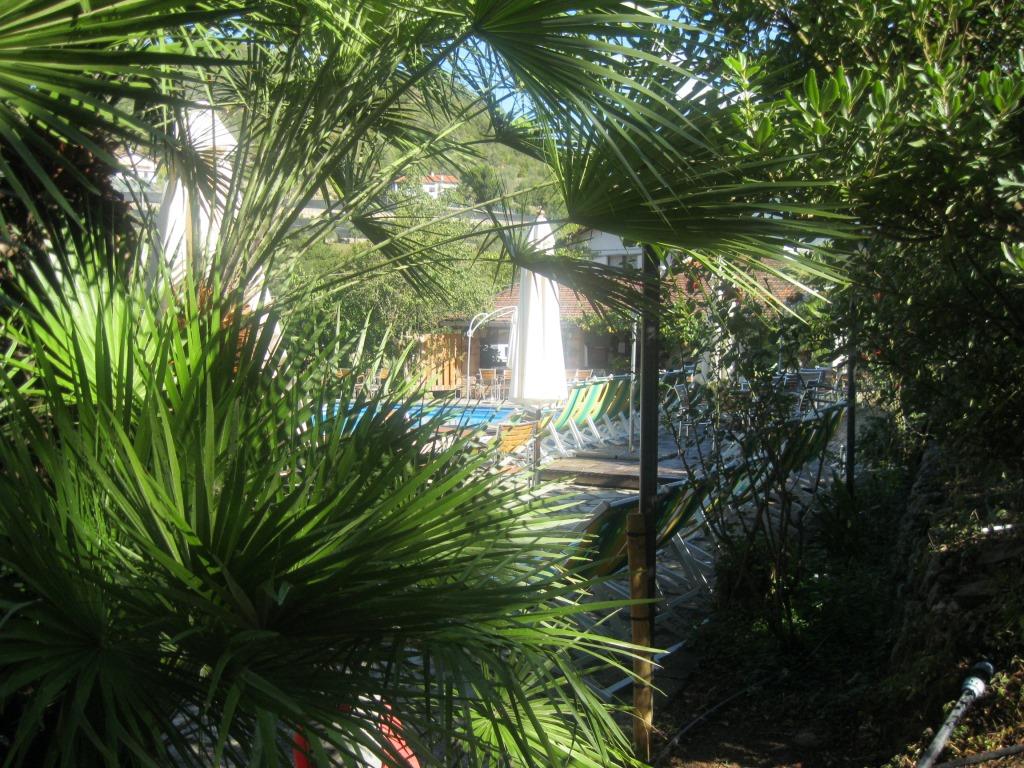Mitten im Grünen gelegen, der Campingplatz Mitten im Grünen gelegen, der Campingplatz