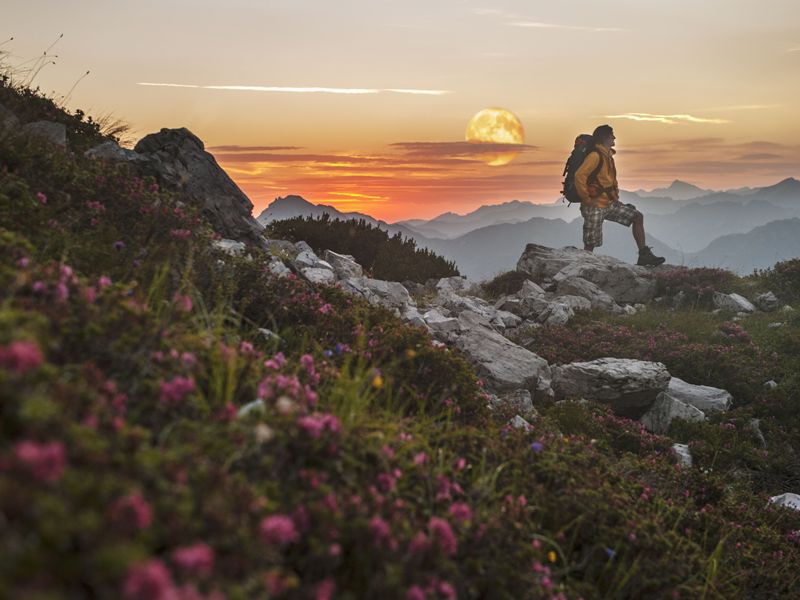 Mondscheinwanderung Mondscheinwanderung