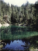 Qi Gong in frier Natur Qi Gong in frier Natur
