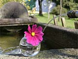 Wellnessurlaub 