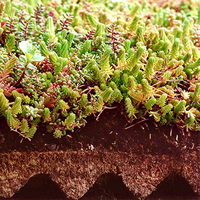 Dachbegrünungssystem von FlorDepot Dachbegrünungssystem von FlorDepot