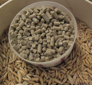 Mineralfutter als Pellets zu Hafer Mineralfutter als Pellets zu Hafer