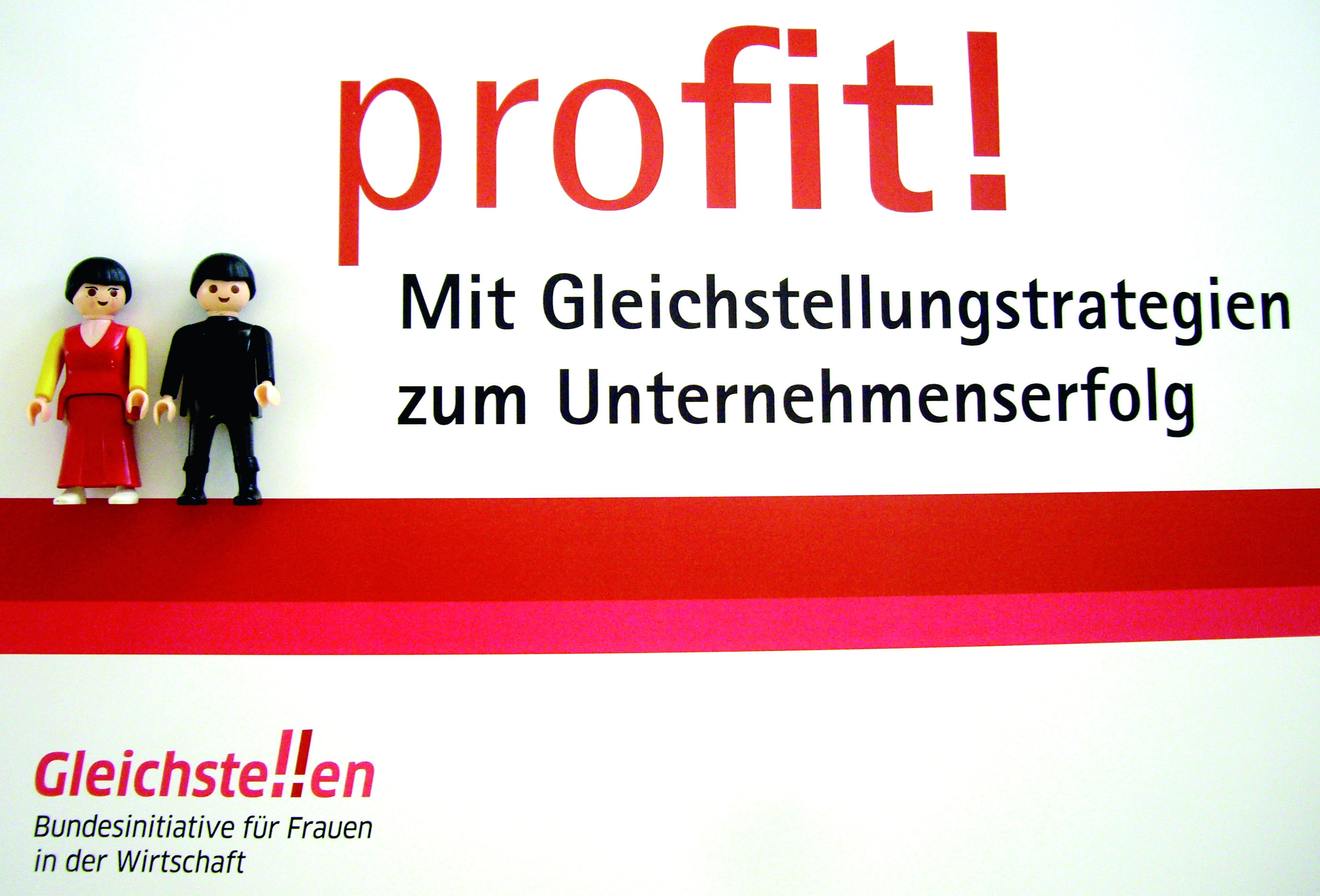 ac.consult berät im Rahmen der Bundesinitiative Gleichste!!en