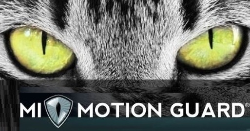 Mi Motion Guard
