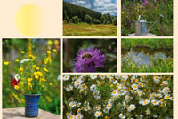 Neue Themenwand „Sommerwiese” bei Mundo Lebenswelten Neue Themenwand „Sommerwiese” bei Mundo Lebenswelten