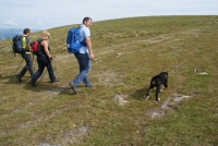 Wandern mit Hund_LH Berger