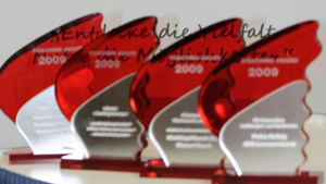 Coaching Awards 2013