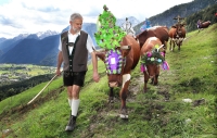 Almabtrieb