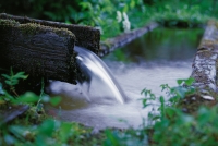 Tauernwasser Tauernwasser