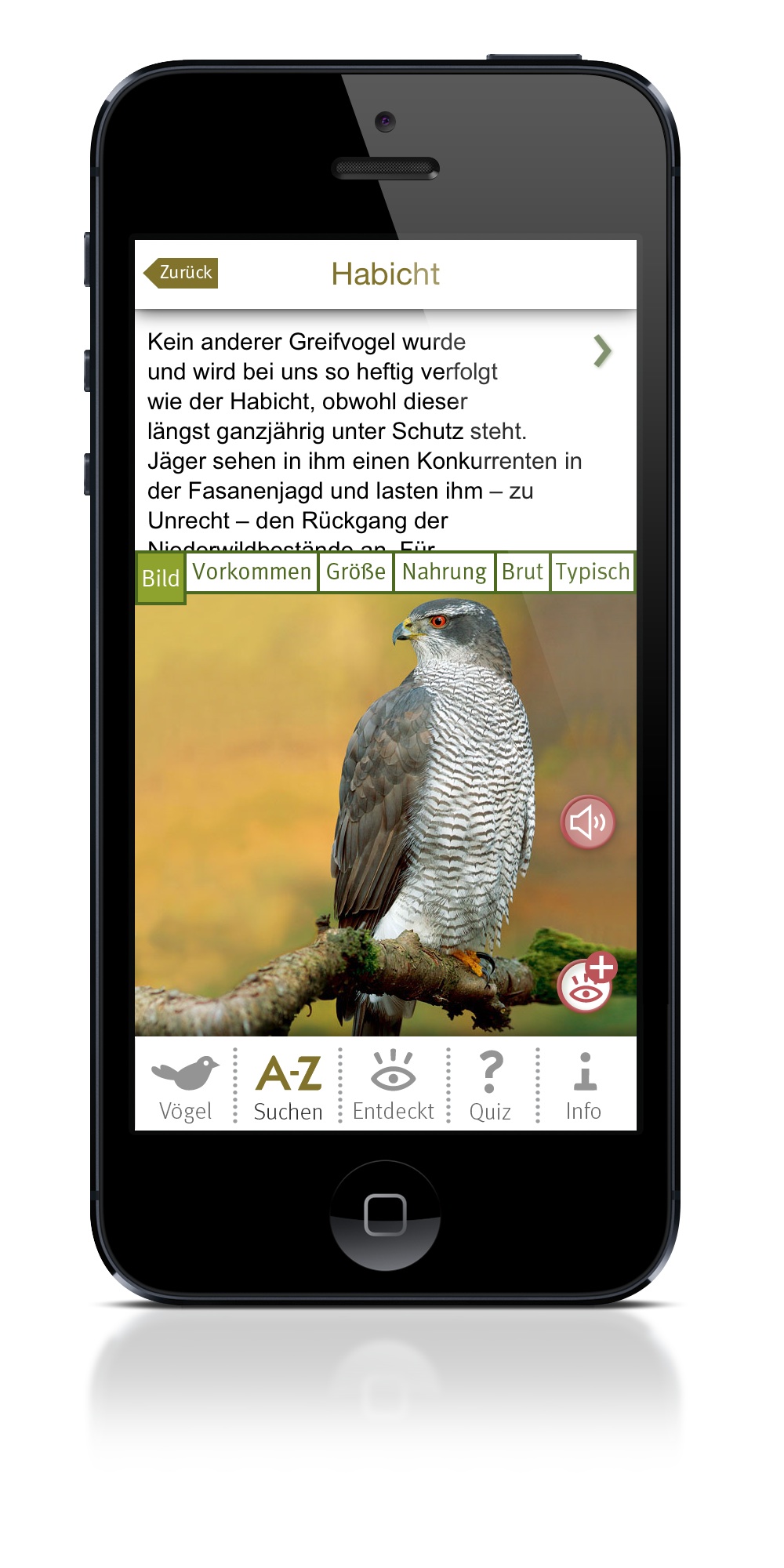 Vögel bestimmen mit dem iPhone: die Naturapps von GU Vögel bestimmen mit dem iPhone: die Naturapps von GU