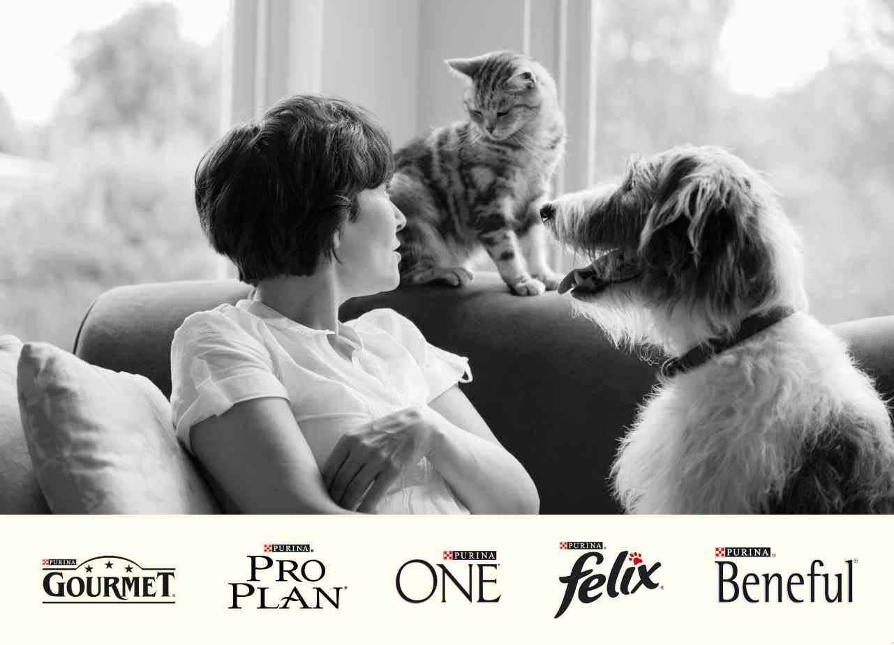 PURINA: Erfolgreiches Geschäftsjahr 2012 PURINA: Erfolgreiches Geschäftsjahr 2012