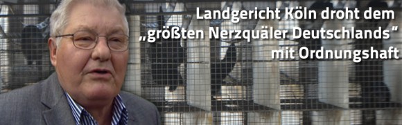 Landgericht Köln droht dem ?größten Nerzquäler Deutschlands? mit Ordnungshaft Landgericht Köln droht dem ?größten Nerzquäler Deutschlands? mit Ordnungshaft