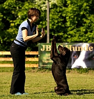 Dogdance Turnier in Berlin Dogdance Turnier in Berlin