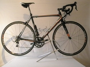 Dolce TR13 Dolce TR13