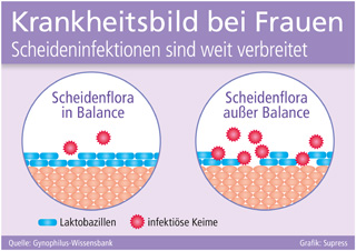 Grafik: Supress (No. 4863) Grafik: Supress (No. 4863)