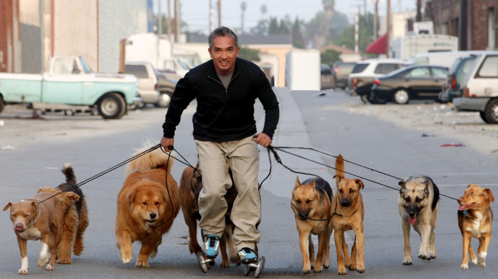 Cesar Millan nutz LandRoller Skates Cesar Millan nutz LandRoller Skates