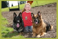 Urlaub mit Hund Urlaub mit Hund