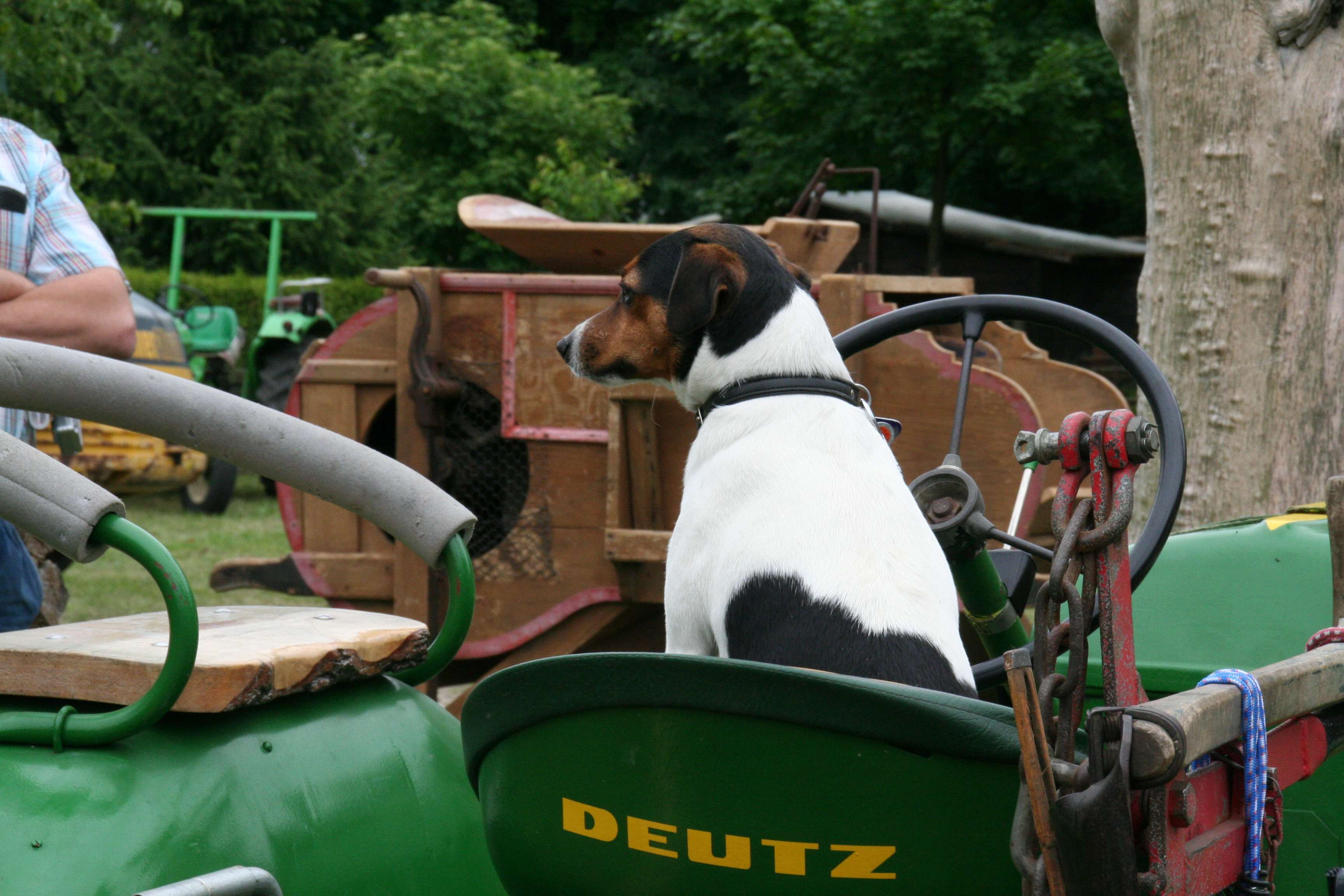 Auf den Hund gekommen - Deutz beim Traktorentreffen Klein Priebus Auf den Hund gekommen - Deutz beim Traktorentreffen Klein Priebus