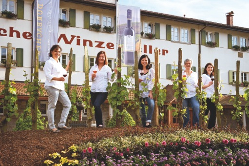 Weinguides der Durbacher Winzergenossenschaft Weinguides der Durbacher Winzergenossenschaft