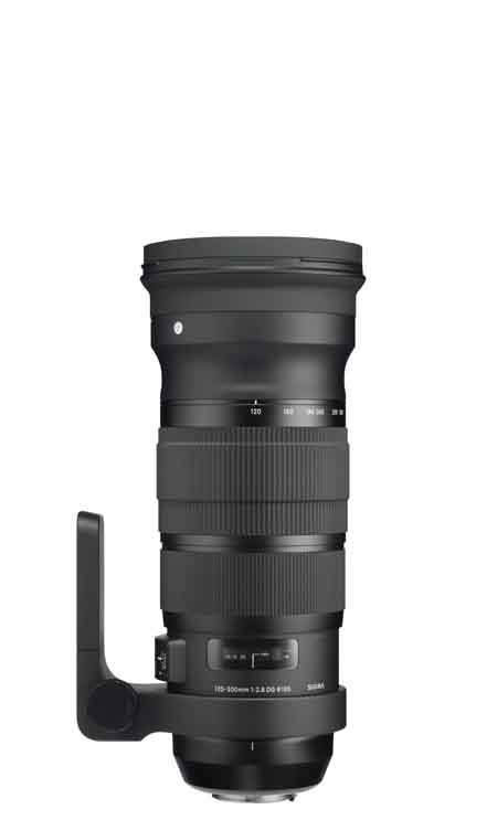 (Foto: SIGMA) 120-300mm F2.8 DG OS HSM (Foto: SIGMA) 120-300mm F2.8 DG OS HSM