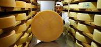 Enger Almkäse mit gold prämiert Enger Almkäse mit gold prämiert