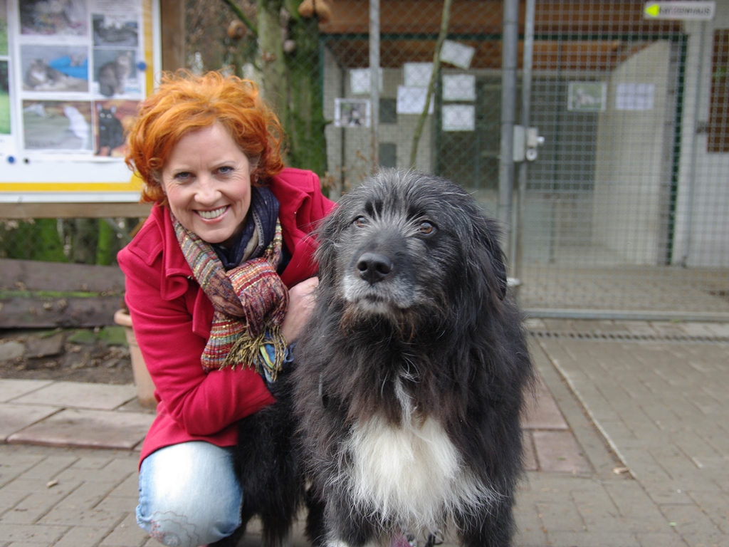 Tiervermittlung mit Claudia Ludwig - Videobotschaft Tiervermittlung mit Claudia Ludwig - Videobotschaft