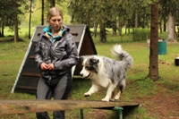 Hotel Mair am Ort - Hundeausbildung Hotel Mair am Ort - Hundeausbildung