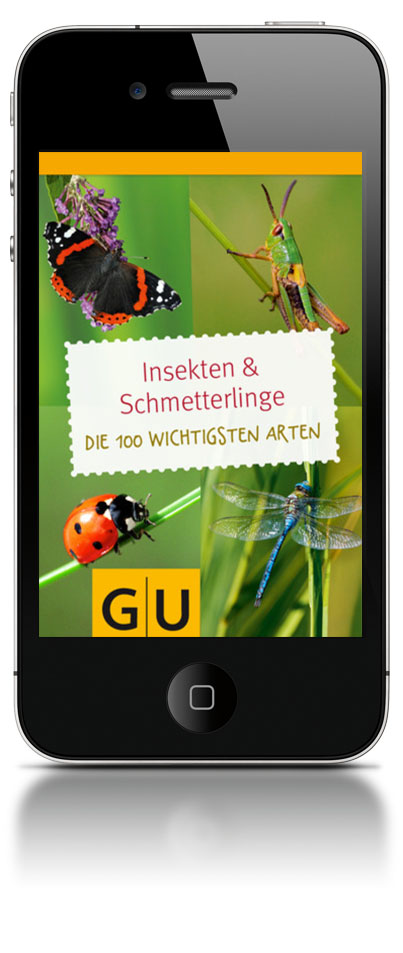 insekten bestimmen