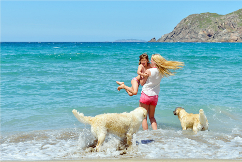 Urlaub mit Hund