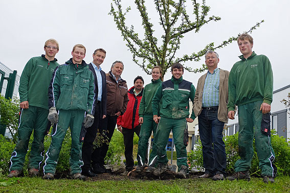 Fachmännisch gepflanzt kann der BIGGE ENERGIE Baum an seiner neuen Heimat jetzt Wurzeln schlagen. Fachmännisch gepflanzt kann der BIGGE ENERGIE Baum an seiner neuen Heimat jetzt Wurzeln schlagen.