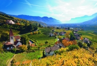 Meran Meran