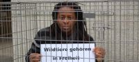 Peta und zahlreiche Prominente fordern das Wildtierverbot im Zirkus