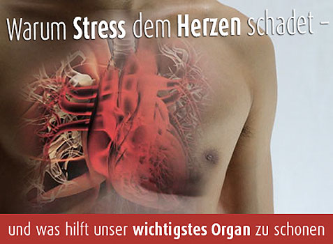 Herz, wie man es fit hält und Herzinfarkt vermeidet.