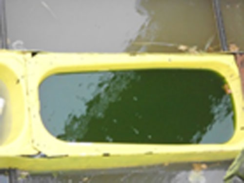 ?Mietpool? oder das Wasser steht bis zum Hals ?Mietpool? oder das Wasser steht bis zum Hals