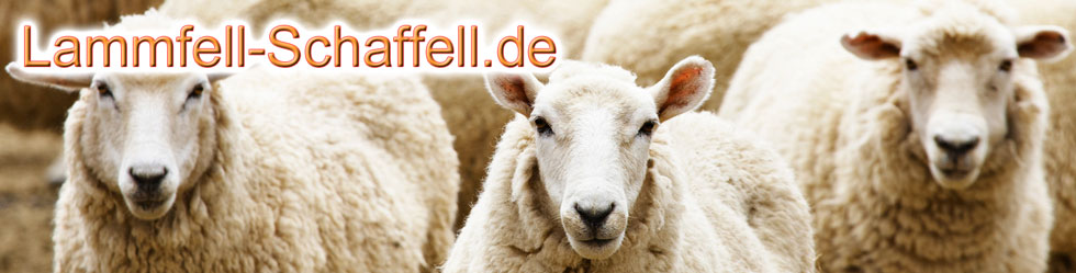 Fellshop Fellshop