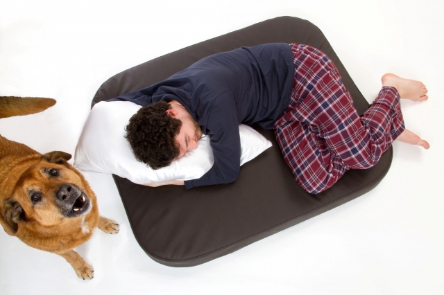 Elegante Hundematten für Jedermann Elegante Hundematten für Jedermann