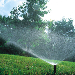 Bewässerungssysteme im Garten sparen Zeit und senken die verbrauchte Wassermenge Bewässerungssysteme im Garten sparen Zeit und senken die verbrauchte Wassermenge