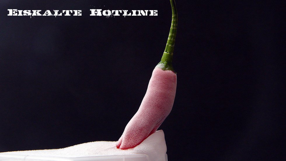 Eiskalte Abfuhr an der Hotline Eiskalte Abfuhr an der Hotline