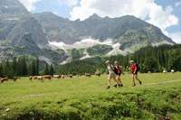 Sommerurlaub Karwendel - bestens zum Wandern und für Familien