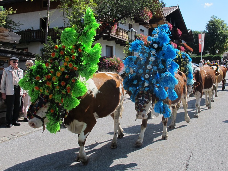 Almabtrieb Almabtrieb
