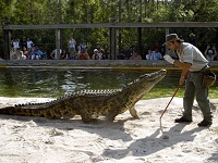 Gatorland Gatorland