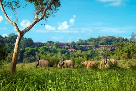 Anantara Golden Triangle Elephant Camp & Resort