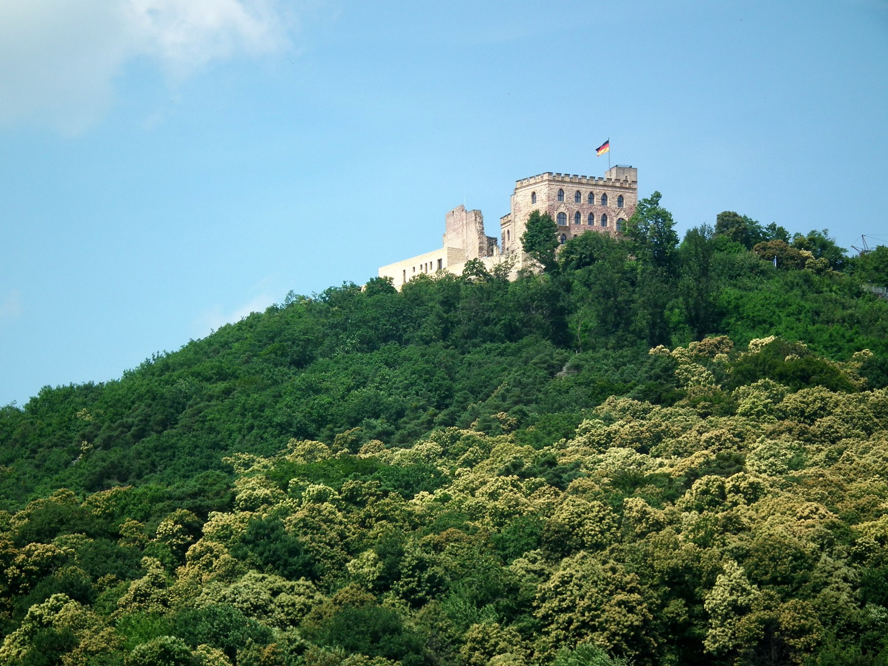Die goldgelbe Keschdeblüte und die Weinlese kann man mit genussradeln-pfalz erleben Die goldgelbe Keschdeblüte und die Weinlese kann man mit genussradeln-pfalz erleben