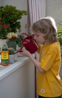 (c)frux Kakteen u. Bonsaidünger für die Pflege von Bonsai, Kakteen und anderen Sukkulenten (c)frux Kakteen u. Bonsaidünger für die Pflege von Bonsai, Kakteen und anderen Sukkulenten