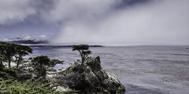 Morgenstimmung am Pebble Beach, mit der „Einsamen Zypresse“