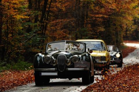 Indian Summer in der Eifel