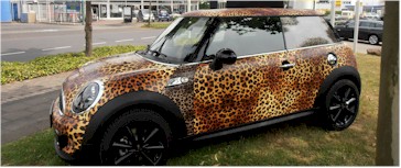 Fahrzeugfolierung - professionell und perfekt. Fahrzeugfolierung - professionell und perfekt.